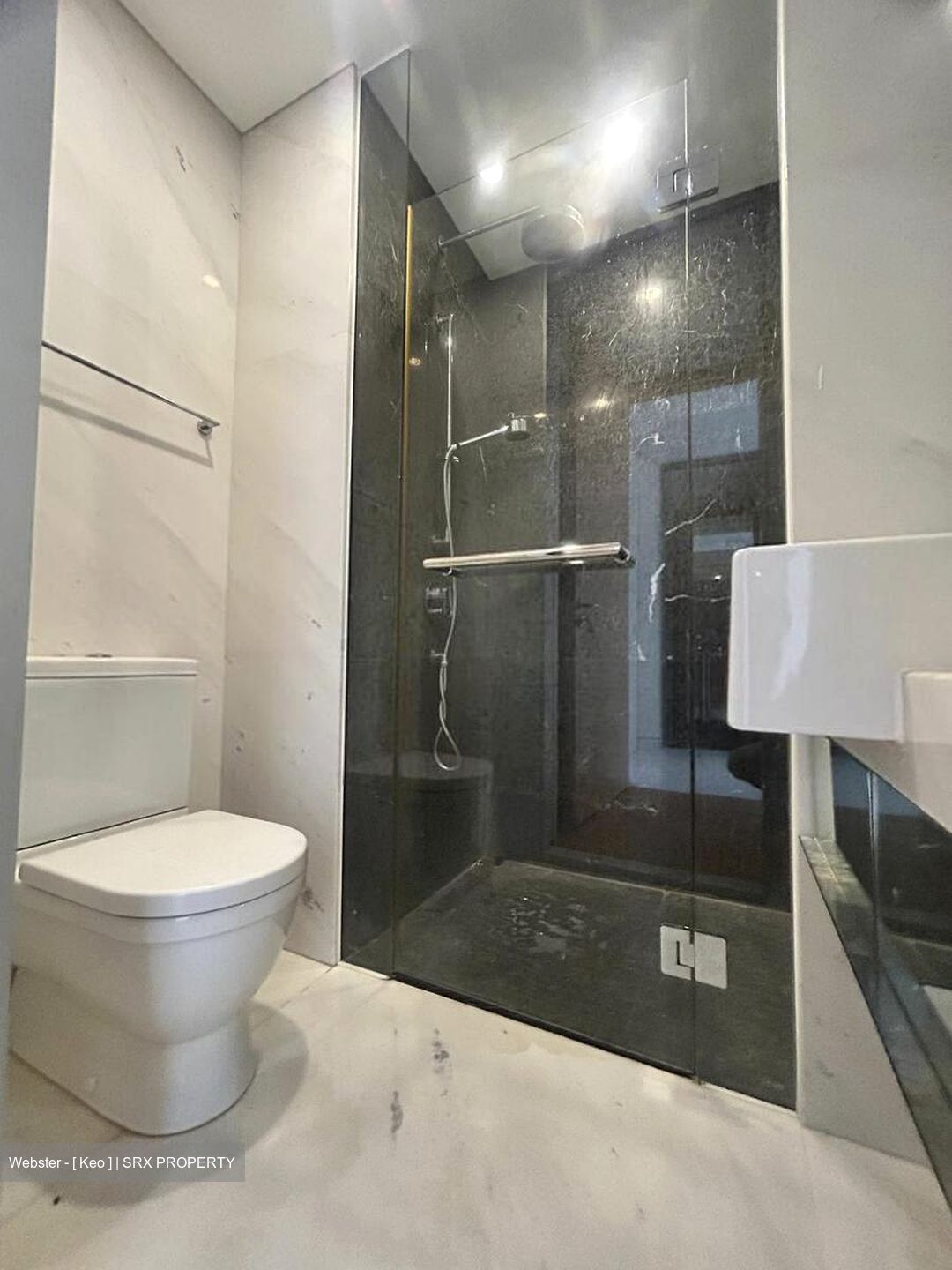 St. Regis Residences (D10), Apartment #510497981